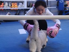 -M.S拳击泰拳馆(大学路店)
