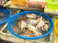 -东河市场