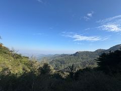 -鲁山国家森林公园