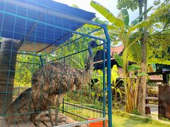 -西双版纳融创皇冠假日度假酒店