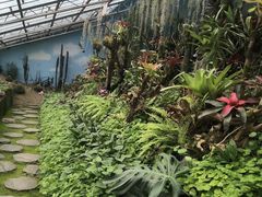 -长春公园(普阳街道)