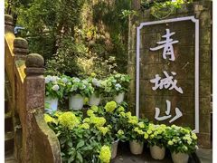 -青城山