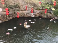-东江渔村·古典园林·30年粤菜老字号(太和店)