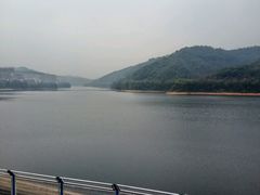 -桃园美食(水库路店)