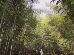 -敬亭山风景名胜区