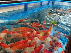 -吾悦广场(渭南店)