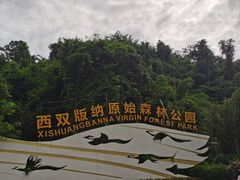 -西双版纳原始森林公园