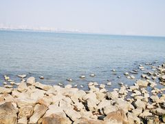 -深圳湾公园(南山区)