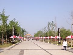 -曹州牡丹园