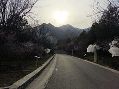 -北京鹫峰国家森林公园
