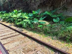 景点-铁路文化公园