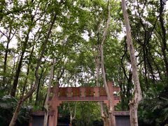 -灵谷景区