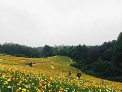 iphone_upload_pic-保利石象湖景区