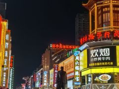 -长沙尼依格罗酒店