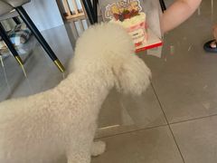 -纳吉亚猫专科动物医院·北北分院