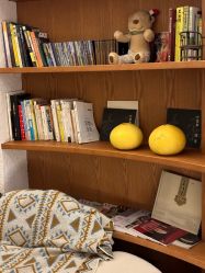 -阿南达·瑜伽普拉提·阿育吠陀疗愈中心