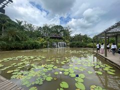 -中国科学院西双版纳热带植物园