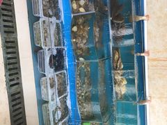 -008海鲜排档(朱家尖2号店)
