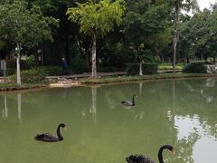 -湖泉半山温泉