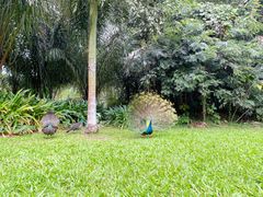 -中国科学院西双版纳热带植物园