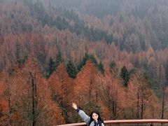-山王坪喀斯特国家生态公园