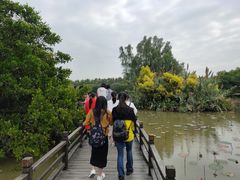 -大湾区中央湿地公园