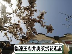 -王府井奥莱临潼小镇(临潼店)