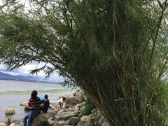 -才村湿地公园
