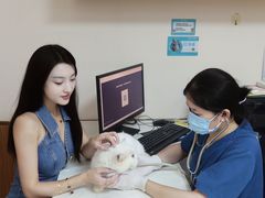 -瑞派中心宠物医院·CT·核磁·神经专科