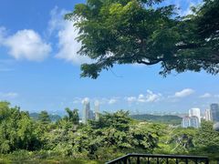 -花柏山公园