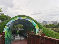 -福田红树林生态公园