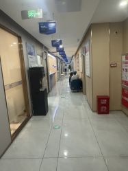 -碧莲盛不剃发植发