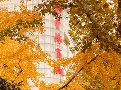 -曹杨影城(曹杨店)