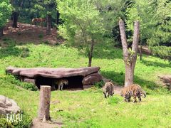 -沈阳森林动物园