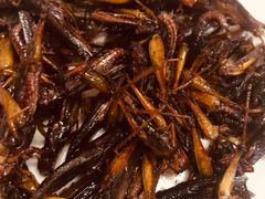 炸蚂蚱-朝鲜饭店(房山店)