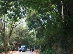 -火炉山森林公园