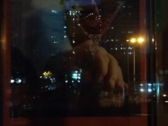 -北京希尔顿逸林酒店