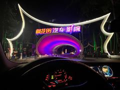 -枫花园汽车电影院(朝阳公园店)