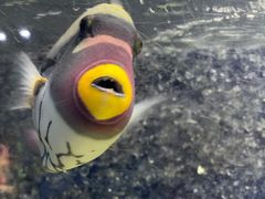 -苏州海洋馆