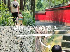 -峨眉山报国寺