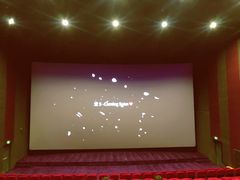 放映厅-保利国际影城杭州中南店