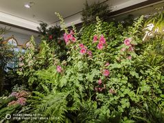 -颐而康·按摩·艾灸·足疗(汽车东站店)