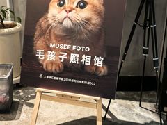 -MUSEE CAFE(保利·时光里店)