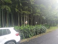 -苏州环秀晓筑养生度假村