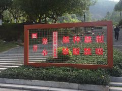 -火炉山森林公园