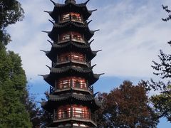 -上海佘山国家森林公园天马山园