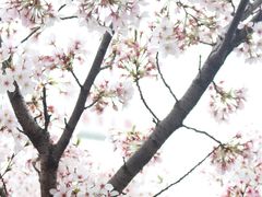 -上海南浦大桥长途旅游客运站