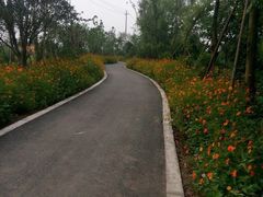 -桤木河湿地公园