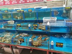 水产区-张家卫·阳江菜·小海鲜(肥婆湾桥店)