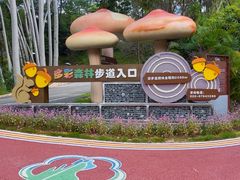 -广州市流溪河国家森林公园